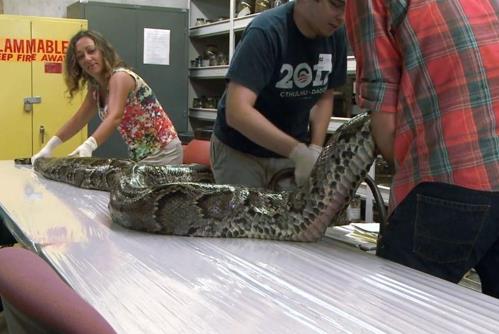 B�ylece ne yuttuklar� ve �evreye ne derece zarar verdikleri tespit ediliyor.