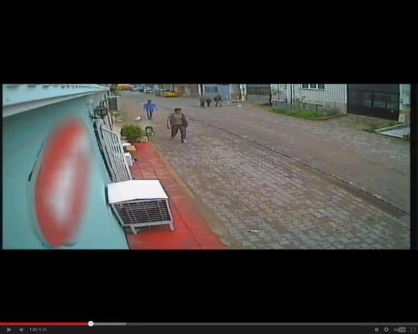 Ellerinde iki Pitbull olan kimlii belirsiz, ikili kpeklerden birini tutarken dierini bir kedinin zerine salyor. Pitbull, kediyi paralamaya balarken ikili, seyrediyor.