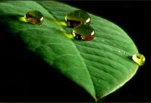 Eer idrar rengi koyulamsa, cilt pul pul dklyorsa, yemek yenilmesine ramen srekli alk hissi varsa, yorgunluk ile artan eklem ve kas arlar vcudun su ihtiyac olduunu gsterir.