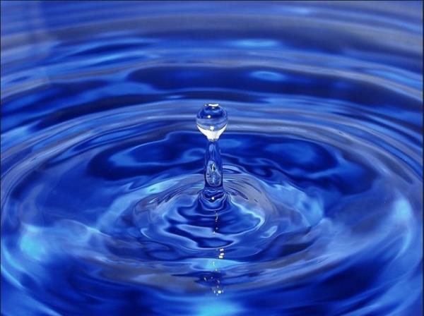 kann yzde 90` n su ile kapldr.