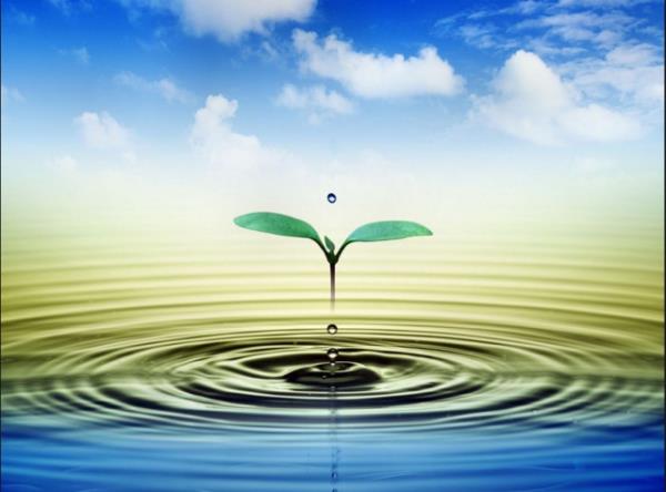 Bbreklerin yzde 82`si