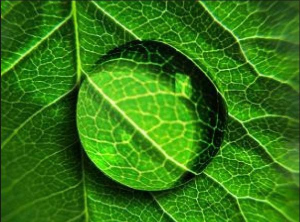 SU MEK METABOLZMAYI HIZLANDIRIR