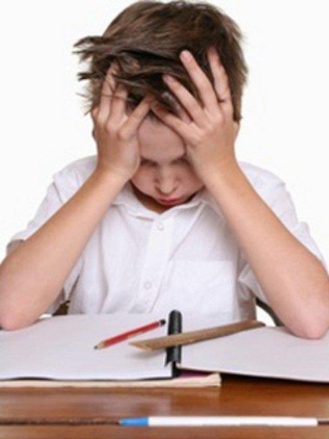 SINIF 6 - SEVYORUM (Yzde) 62