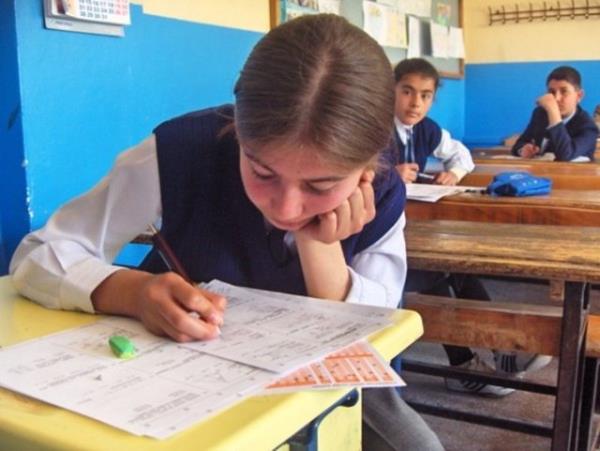 SINIF 7 - SEVYORUM (Yzde) 61