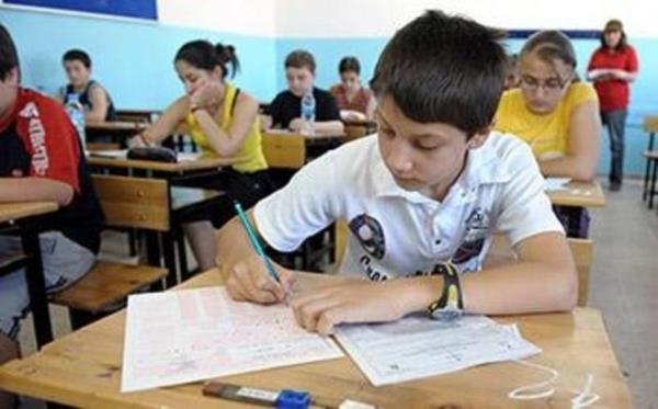 SINIF 12 - SEVYORUM (Yzde) 37