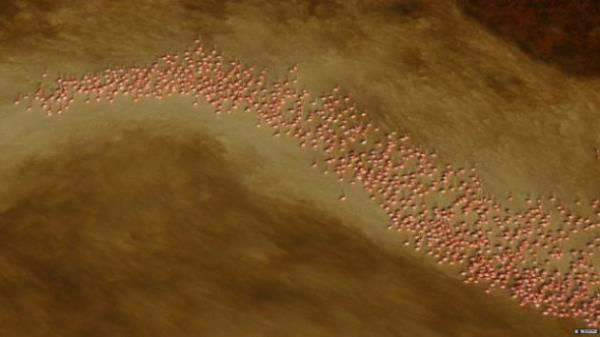 ��te o foto�raflar;