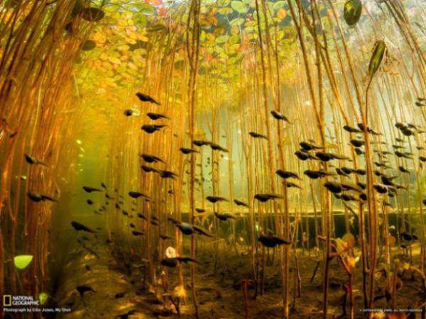 ��te o foto�raflar;