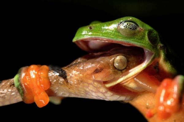 ��te o foto�raflar;