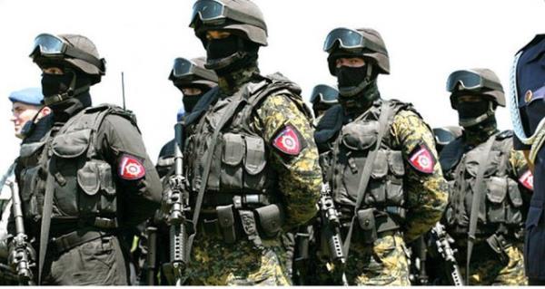 12. Srp Jandarma Kuvvetleri