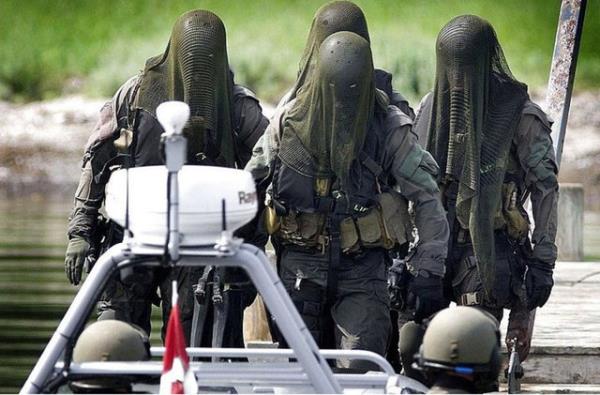 6. Danimarka zel Kuvvetleri