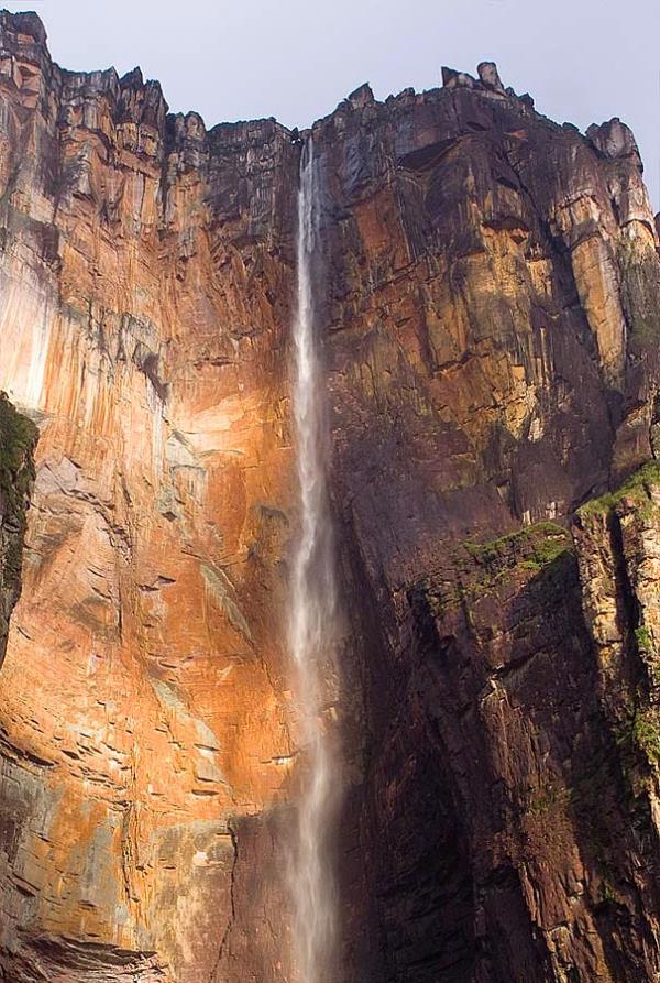 Angel elalesi, Venezuela