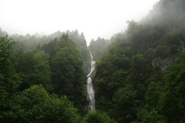 <p><b>9- BULUT ELALES</b></p>    amlhemin ile Ayder Yaylas arasndaki Tar Deresi'nden vadiye birok kk dml elale akar. Bunlarn en uzunu ve seyrine doyum olmayan, 250 metre ykseklikten  kademeli olarak akan Bulut elalesi'dir.