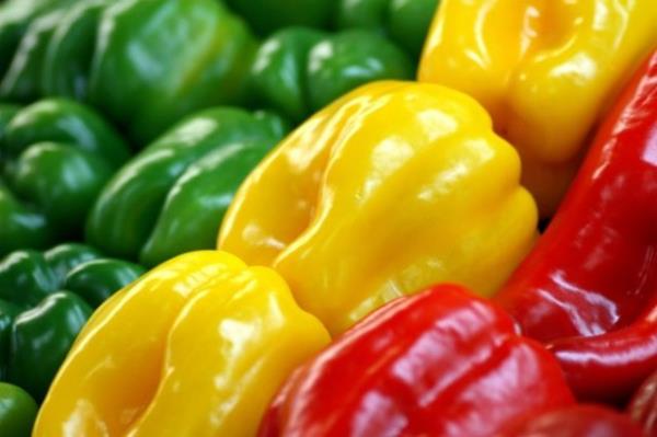 Sabah kahvaltsnda yediklerinizin yanna i-hafif zgara yaplm ekilde s yeil biber tketebilirsiniz.