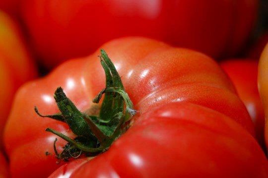 2. Domateslerin abuk rmesini nlemek iin koparlan ksmlarnn aada kalmas gerekir. Bu sayede domatesin koparld yerden nem ve hava girii engellenmi olur. Ayrca domatesler oda scaklnda buzdolabnda olduundan daha uzun sre dayanr.