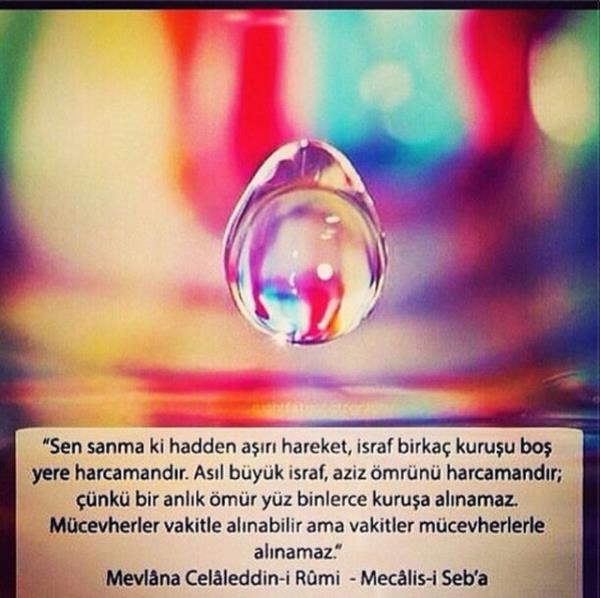 CEYLAN APA kandilinizmbarekolsun.