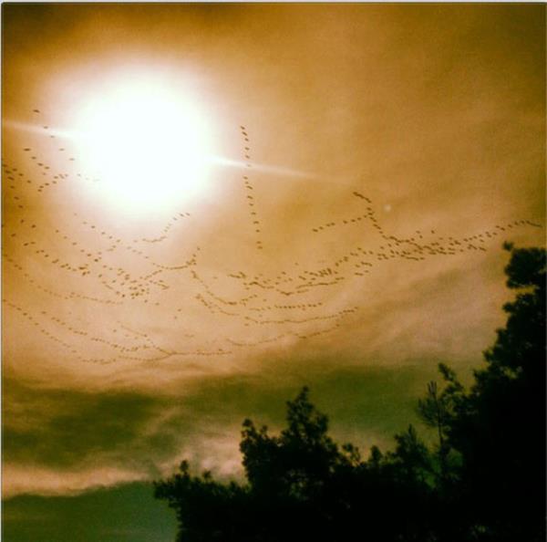 ARDA ESEN Gkyzne yaz yazmak kularn ii. Bugn onlar yazd, ben okudum.