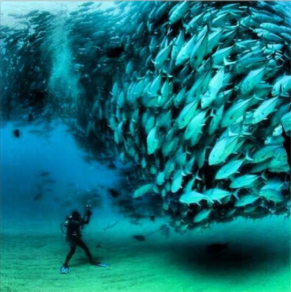 KENAN ERETNGZ Durun, instagrama fotoraf ekecem:))