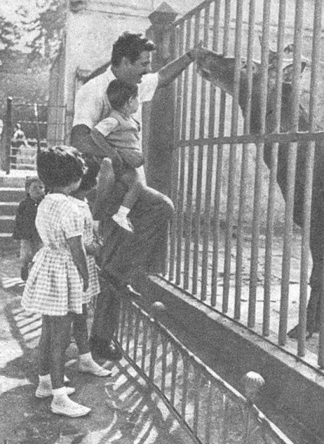 <p>21. Glhane Hayvanat Bahesi </p>  Erol Ta ocuklaryla nerede geyik seviyor? Evet stanbul'un gbeindeki Glhane Park'nda. imdi Darca'ya gitmek gerek bu hayvanlar grebilmek iin.