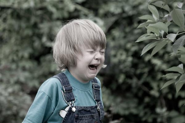 <p><b>DDETN NEDENLER</b></p>  fkesini kontrol edemiyor %56.1