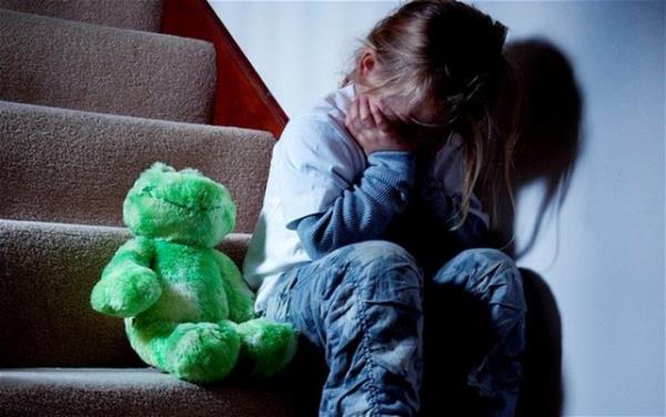 <p><b>TANIK OLANLARIN BAVURDUU KURUMLAR</b></p>  Kolluk %73.4