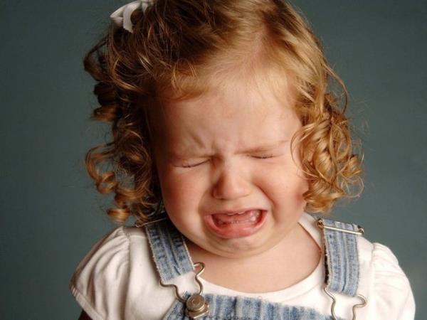 Sosyal hizmetler %18.5