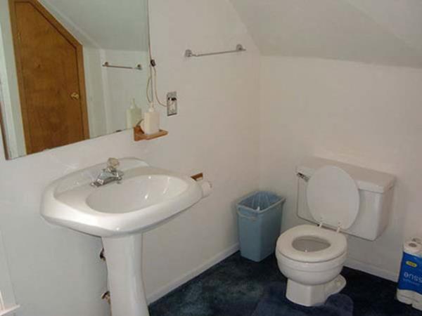 Bazen, idrarnz yapmadan nce idrar torbanzn bydn gzlerinizle grmeniz mmkndr.