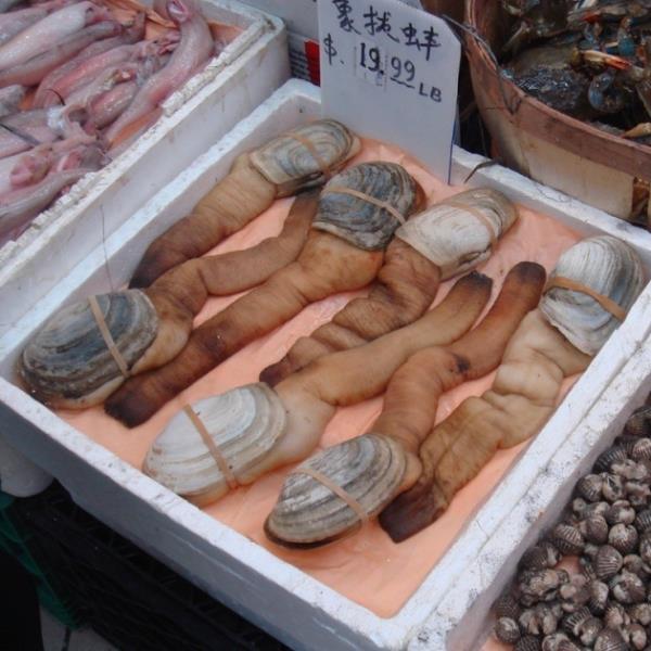 Hong Kong, Pekin ve Tokyo 'daki lks restoranlarda olduka rabet gren geoduckun kilosu 30 dolardan satlyor.