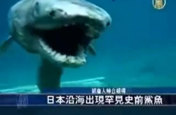 spanya'nn Almeria kenti yaknlarndaki Luis Siret plajnda bir kadnn bulduu korkun canl, grenleri dehete drd...