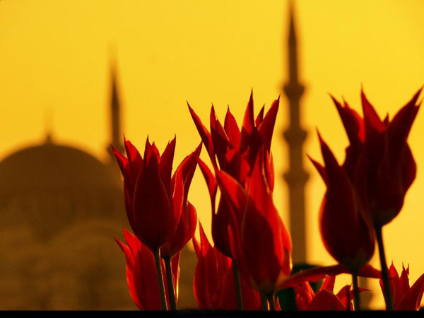 <p><b>DUALAR KABUL OLUR...</b></p>    Cumann gndznde (haram istekler haricindeki) dualarn kabul olunaca gizli bir icabet vakti bulunduu gibi gecesinin son te birinde de bir icabet vakti bulunmaktadr; yine ayn zaman dilimi, meleklerin de hazr bulunduu bir an olmaktadr.