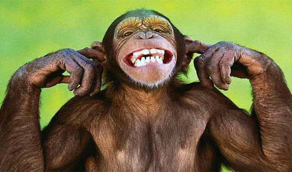 <p><b>19. Evcil maymun tarafndan srlma sonucunda lmek</b></p>  Yunanistan Kral I. Aleksandros, 1920