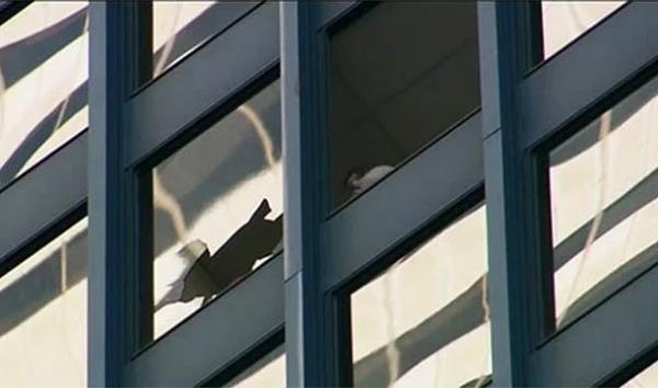 <p><b>23. Ofis camnn krlmaz olduunu ispatlamak iin bedeniyle cama vurma sonucu camn krlmasyla aaya dp lmek</b></p>  Gary Goy, 1993