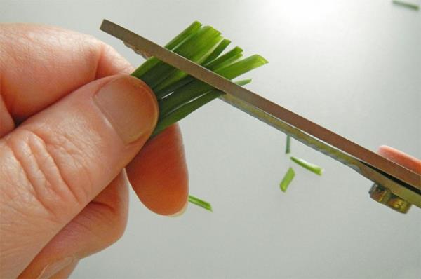 <b>Mutfak makas:</b> Yiyecekleri hzlca kesmek iin mutfak makasn kullann. Makasla pizzanz, kukonmaznz, karalahanay ya da enginarnz kesebilirsiniz.