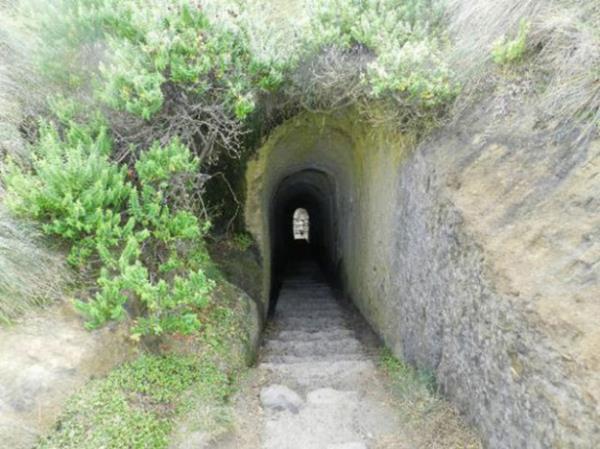 Hikayeyi duyanlar babann kzna verdii son arman grmek iin blgeye akn ediyor.