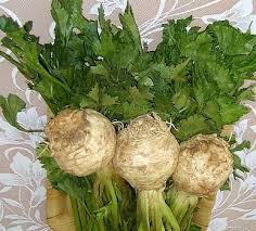 Siroz hastalar�, yeni siroza yakalanm�� olanlarda m�thi� etkilidir kereviz.