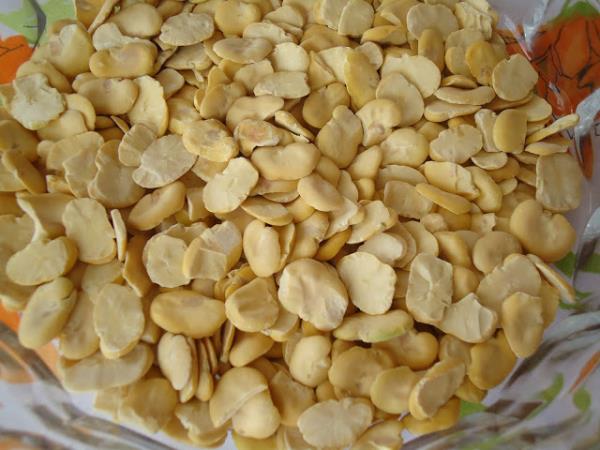 Parkinson hastal���na yakalanmak istemiyorsan�z yapaca��n�z k�rler vard�r. Bakla k�r� kesinlikle buna birebirdir.