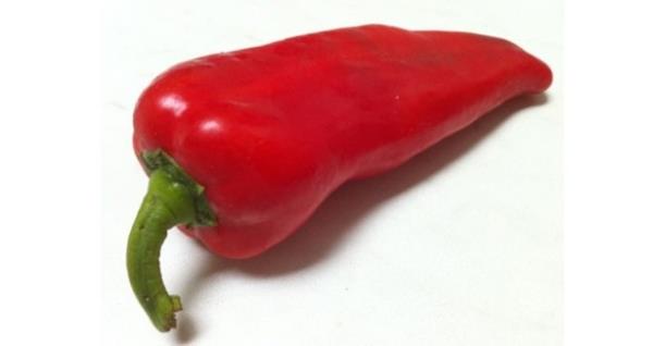 <p><b>K�rm�z� biber</b></p>   <p>K�rm�z� biberin i�erisinde k�rm�z� rengi veren likopendir ama likopen domatestede, karpuzda da var. Fakat bu k�rm�z� biberin i�erisinde antosiyaninler var. Bunlarda sekonder metabolit. Bitkilerin tamam�nda karbonhidatlar, ya�lar, proteinler vard�r. Bunlar �� enerji kayna��d�r. Fakat bunun alt�nda kalan iki tane k���k oranda bulunan mineraller, kalsiyumlar var. Bunlar�n d���nda bug�n d�nyan�n son 5,6 y�lda b�y�k bir h�zla ara�t�rd��� sekonder metabolitlerdir. Lahana, brokoli, p�rasa, so�an, sar�msak, kereviz bunlar �ok fonksiyonel bitkilerdir. Bunlar� fasulyeyle veya kabak ile mukayese edemezsiniz. Bu sekonder metabolitler bizi hastal�klara kar�� koruyanlard�r. Ye�il ve k�rm�z� dolmal�k biberin i�erisinde bol miktarda yer almaktad�r. </p>  <p><b>Antosiyanin:</b> K�rm�z� ve mor renkli meyve ve sebzelerde bulunan renk verici bir madde olan antosiyanin, i�inde bulundu�u meyveye �ok g��l� bir antioksidan etki g�stermektedir.</p>  <p><b>Likopen</b>: Parlak k�rm�z� bir karotenoid pigmenttir. Domates ve di�er k�rm�z� meyvelerde bulunur. Likopen insan v�cudunda bulunan en yay�n karotenoiddir ve en g��l� karotenoid antioksidanlardan birisidir.</p>