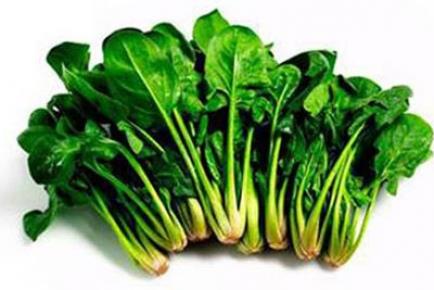 <p><b>Bitkilerle panik ataktan kurtulmak m�mk�n m�?</b></p>  Ispana��n i�erisinde �ok miktarda antidepresan �zellikli etkin maddeler vard�r. Fakat tek ba��na yeterli de�ildir. Mutlaka �spanakla maydanoz beraber haz�rlanmal�d�r. Sabahlar� �spanak maydanoz kaynat�p suyunu i�ecekler. Ak�amlar� da tere ile �spanak kaynat�l�p suyu i�ilmelidir.