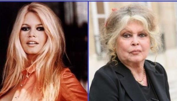 <p><b>Brigitte Bardot</b></p>  BAFTA �d�l�ne aday g�sterilmi� eski Frans�z sinema oyuncusu, manken, �ark�c� ve hayvan haklar� aktivistidir.En �ok 1950'lerin ve 1960'lar�n kad�n fig�r� olarak bilinir.Bardot 80 ya��nda.