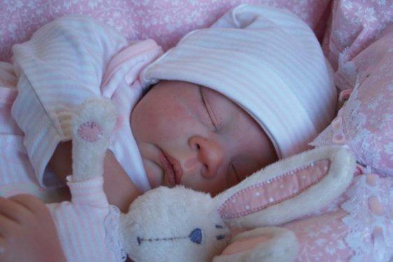 Bu bebeklerin d�nyan�n bir�ok �lkesinde yayg�nla�mas�ndaki en etkin fakt�r ise g�n�m�z�n en yayg�n teknolojik arac� internet.