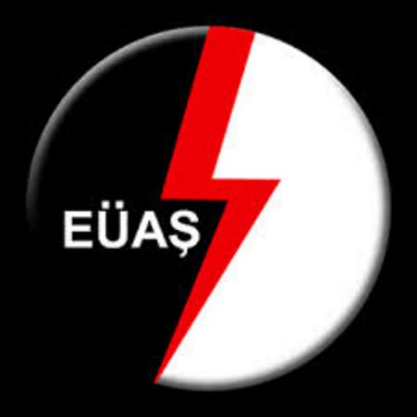 12-E�A� ELEKTR�K �RET�M A.�. Net Sat��lar (TL) :10.405.430.349