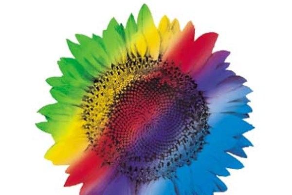 <p><b>17- WiPro</b></p>  Hindistanl� d�� kaynak �irketinin piyasa de�eri yakla��k 28 milyar dolar.