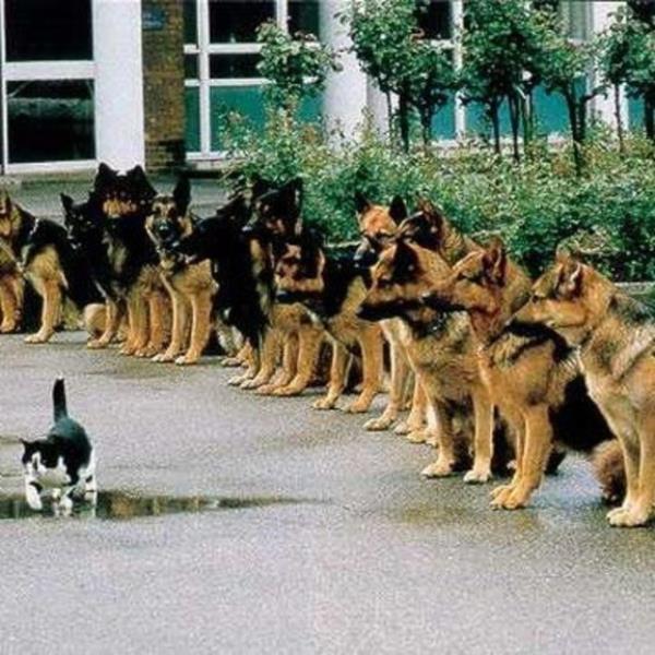 Dnce yapnz ve z gveninizi ykseltmek iin adm atmanz gerektiinde baz hamleleri yapmalsnz. <br><br>te size bir yol haritas...</b></br>