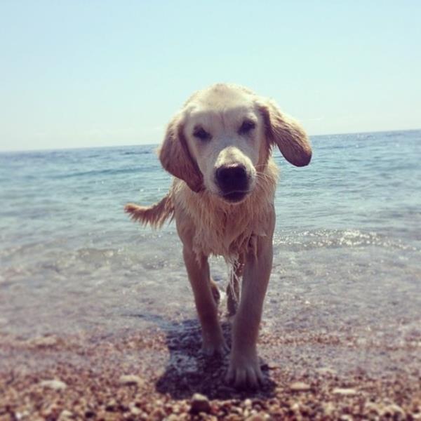 AYE ZYILMAZEL  <br>Ltfen gzel bir hafta olsun. Hatta gzel bir ay. Yaz gibi bir yaz olsun. Bi'ey olsun her ey,herkes iyi olsun</br>