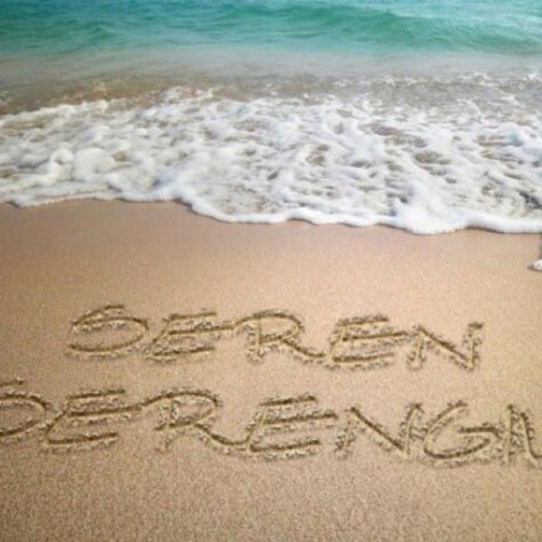 <br>SEREN SERENGL</br>  Gunaydin...