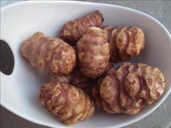 <b>YERELMASI</b>: Bu sebzenin piirilerek veya i olarak tketilmesi gerekiyor.