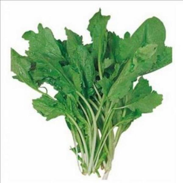 <b>TERE:</b> Keskin aromal bu sebze, barsaklardaki kanser ncesi oluumlarn kansere dnmesini engelliyor. i olarak tketilmesi neriliyor.