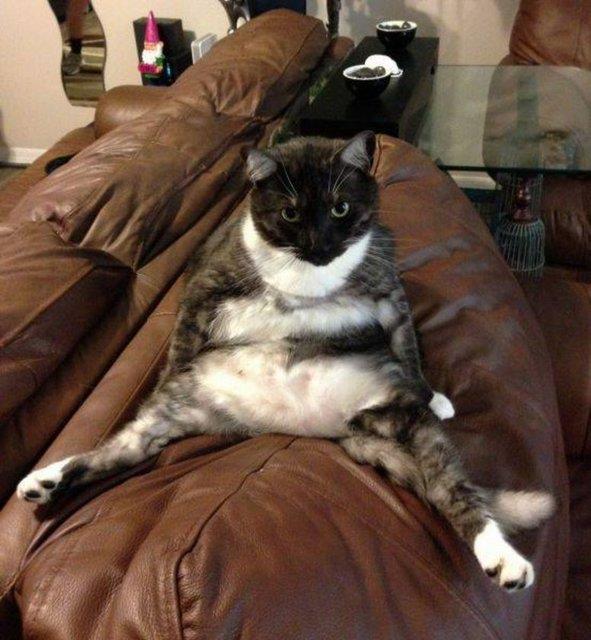 Sosyal medyada payla��m rekoru k�ran kareler yok art�k dedirtiyor!