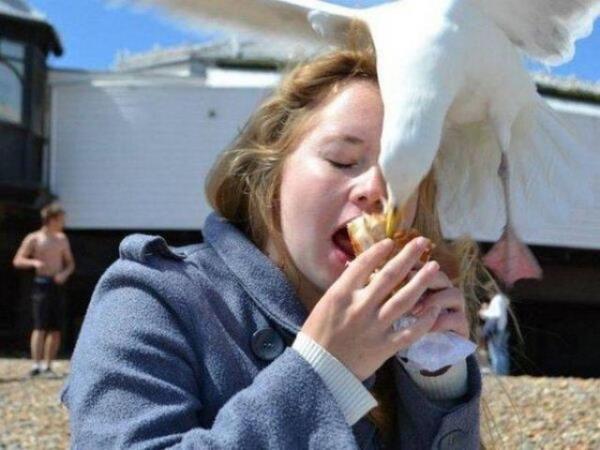 Sosyal medyada payla��m rekoru k�ran kareler yok art�k dedirtiyor!