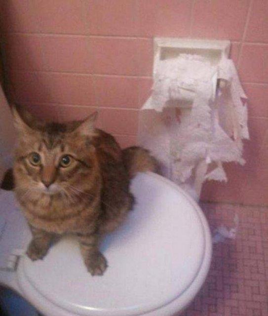 Sosyal medyada payla��m rekoru k�ran kareler yok art�k dedirtiyor!