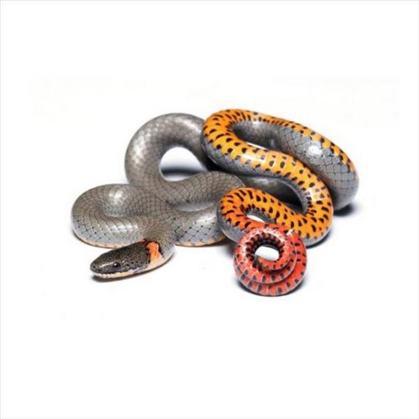 Sosyal medyada payla��m rekoru k�ran kareler yok art�k dedirtiyor!